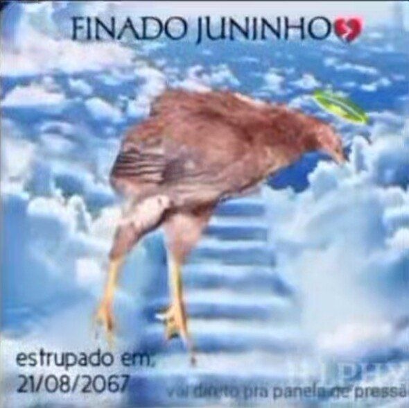 Meme publicado pela turma
