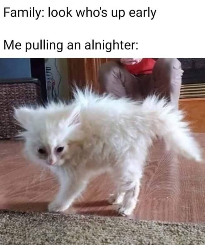Sleeping? Nah, I don't do that.