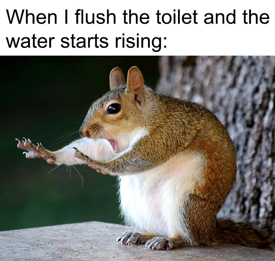 Oh the horror