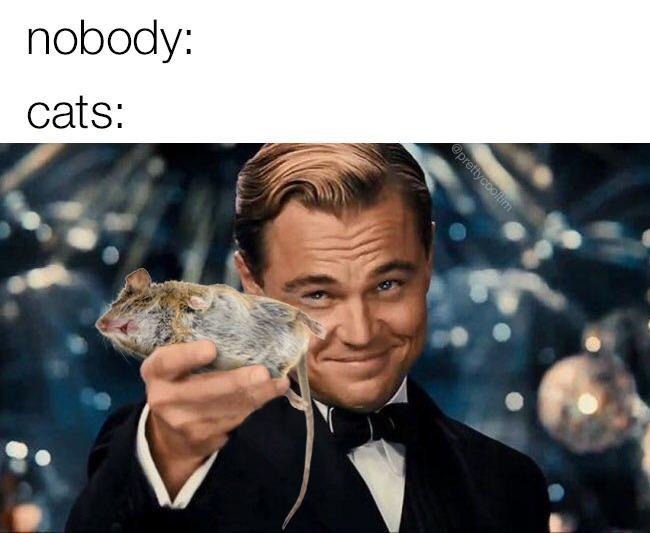 please enjoy