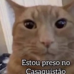 Foto de lyncon