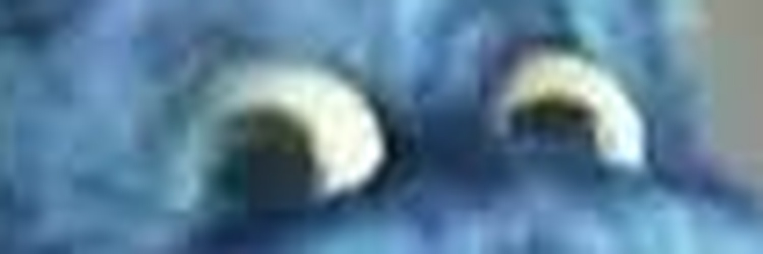 Banner de atumalaca